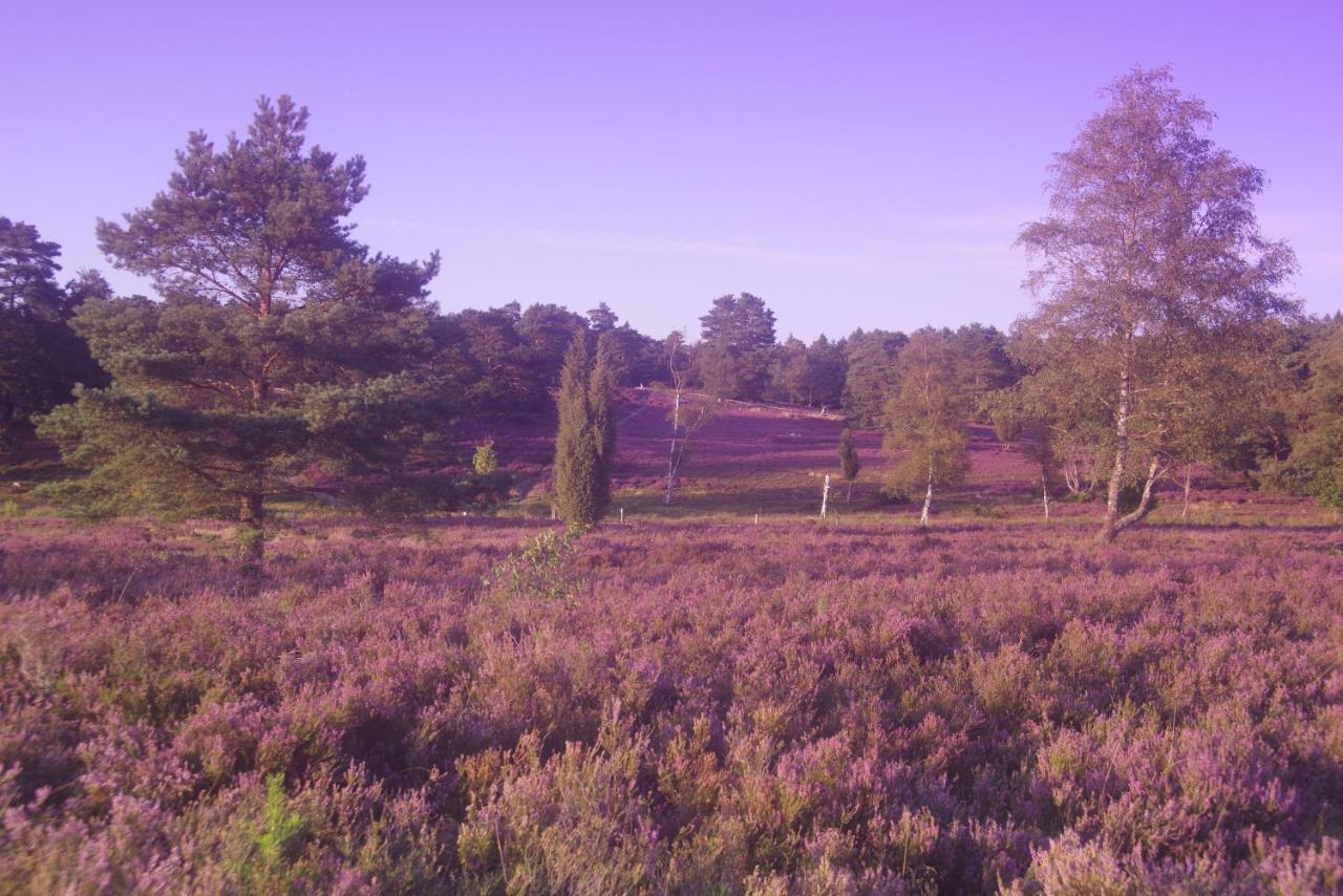 Ferienwohnung Schuur - Buchholz In Der Nordheide Exterior photo